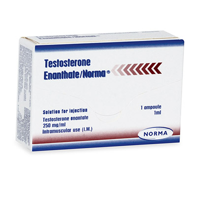 TESTOSTERONE ENATHATE/NORMA